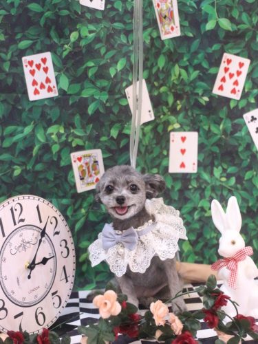 20250430おこげちゃん